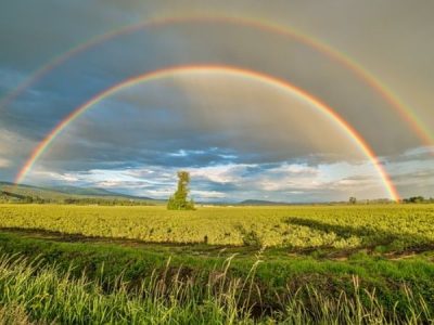 Choix des câbles pour l'été