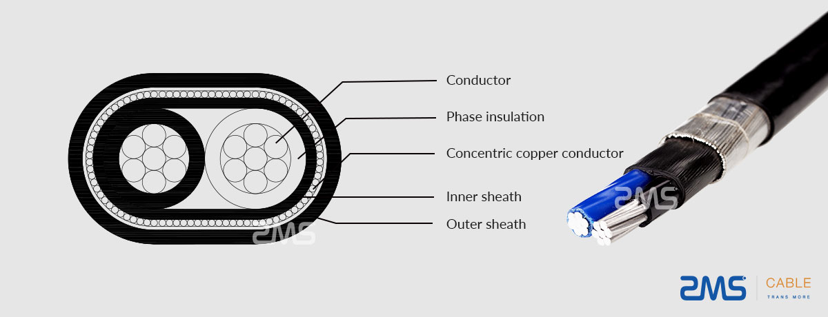 Concentrique plat