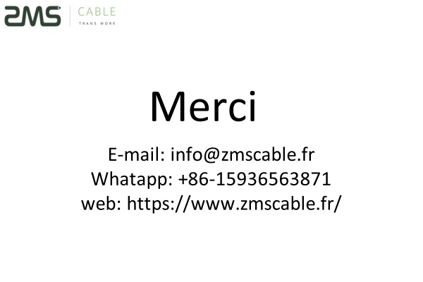 Votre formulaire a été soumis avec succès. Merci d'avoir soumis votre formulaire, nous vous contacterons bientôt !